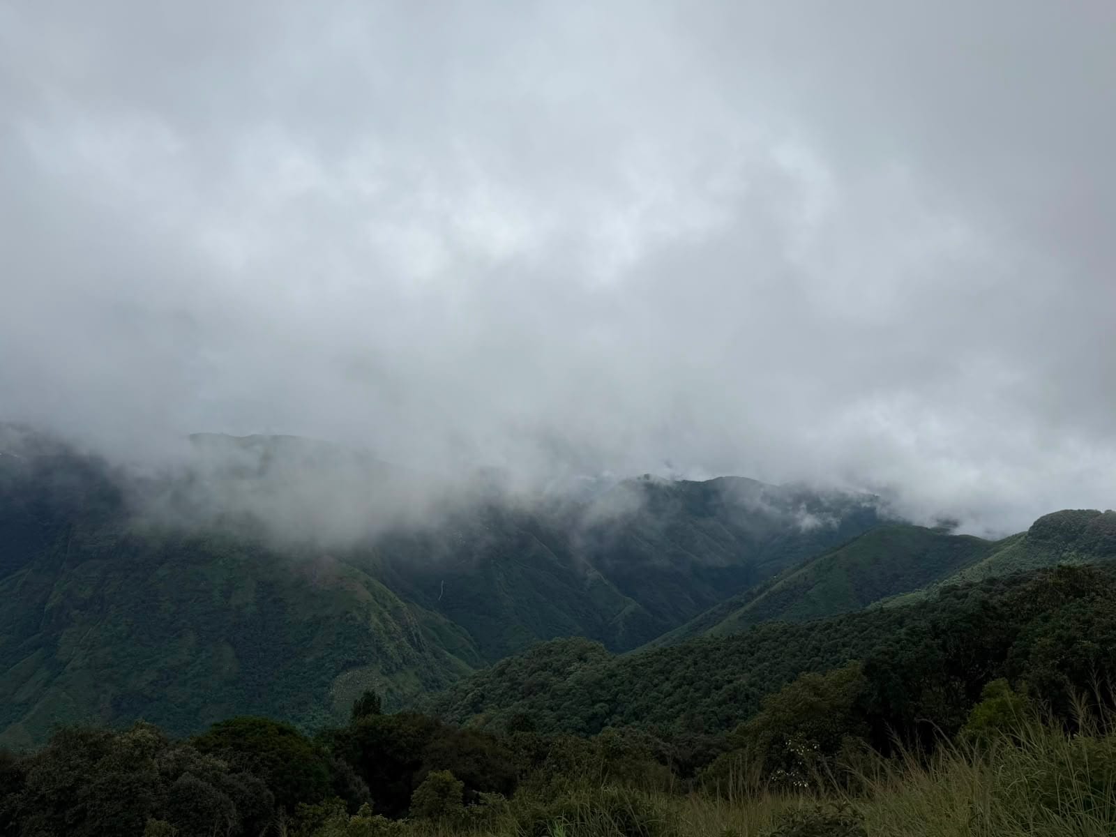 Cloud sitting low over the forested Khasi hills on the road up to Shillong