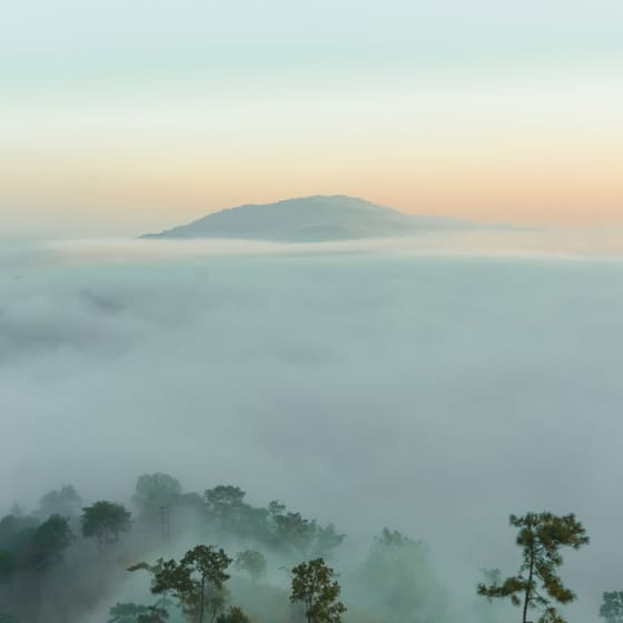 A steep green ridge falling away into the Laitlum canyons outside Shillong